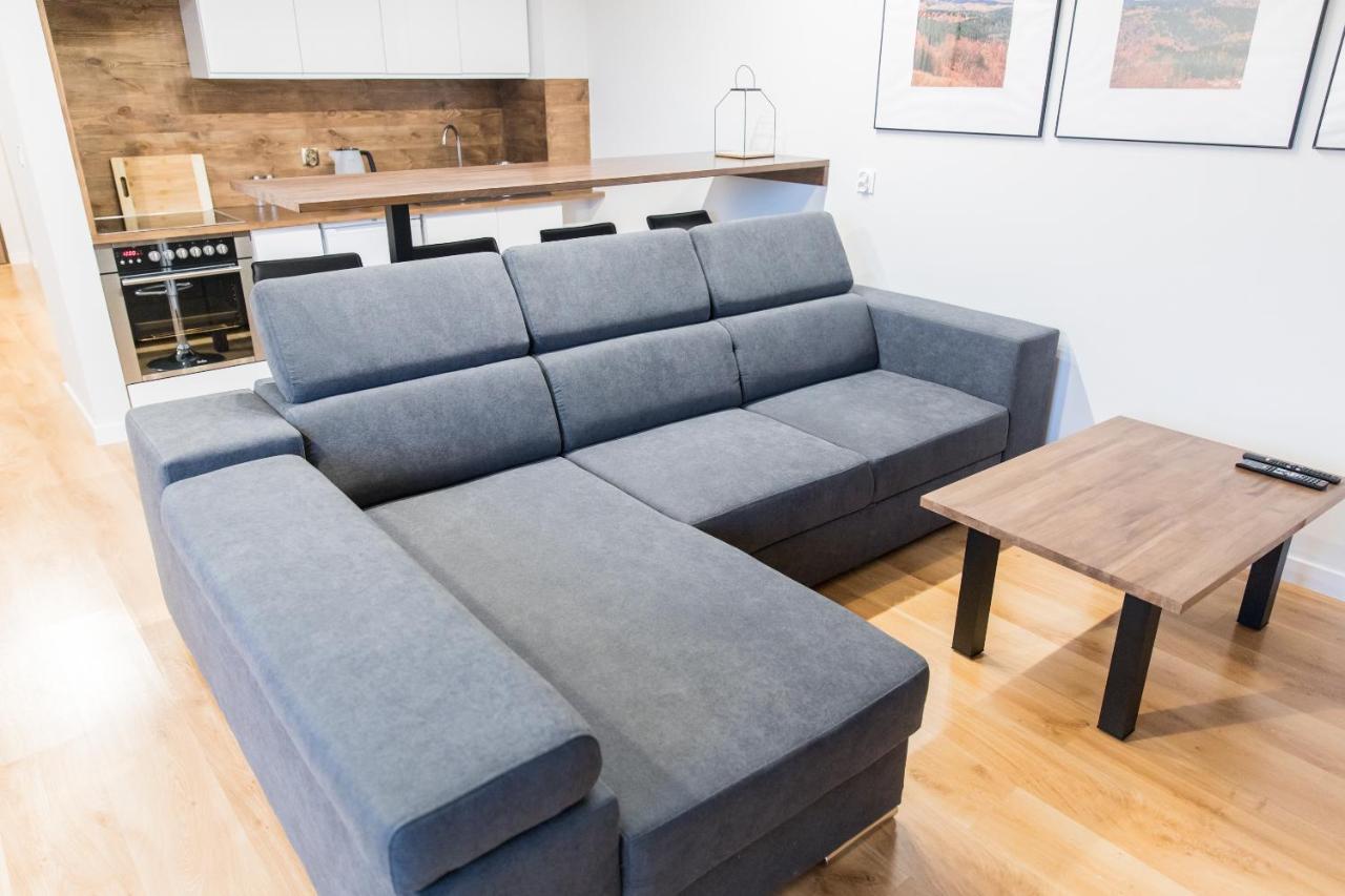 Ms-Apart Apartament Z Sauna Polanica-Zdroj Dış mekan fotoğraf